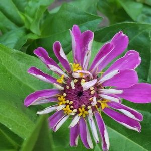 Meet your Posher, Sherry